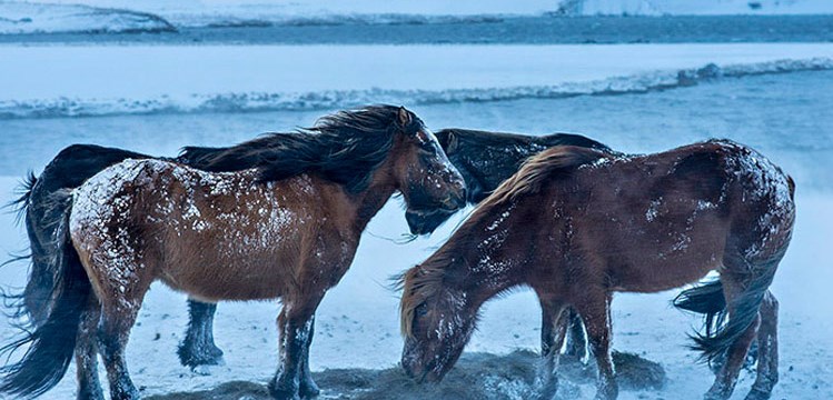 Grand Winter Photo Tour Around Iceland