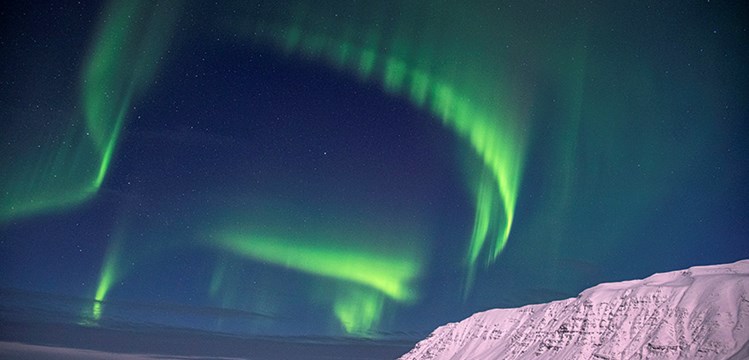 11 day winter photo tour around Iceland February 2026