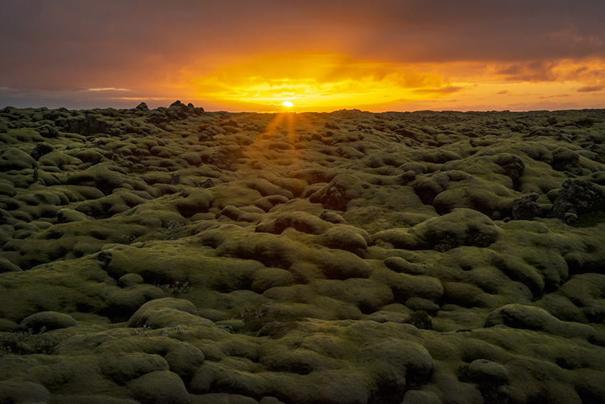 Three-Day Photo Safari to South Iceland. ?w=480&h=340&mode=crop&scale=both