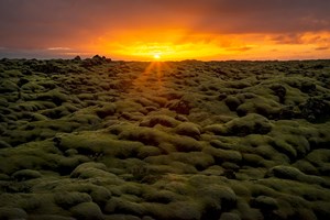 Three-Day Photo Safari to South Iceland.