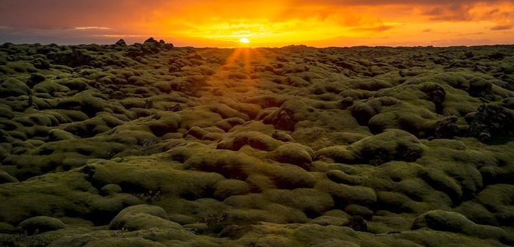 Three-Day Photo Safari to South Iceland.